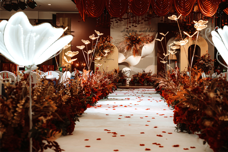 ���_��������